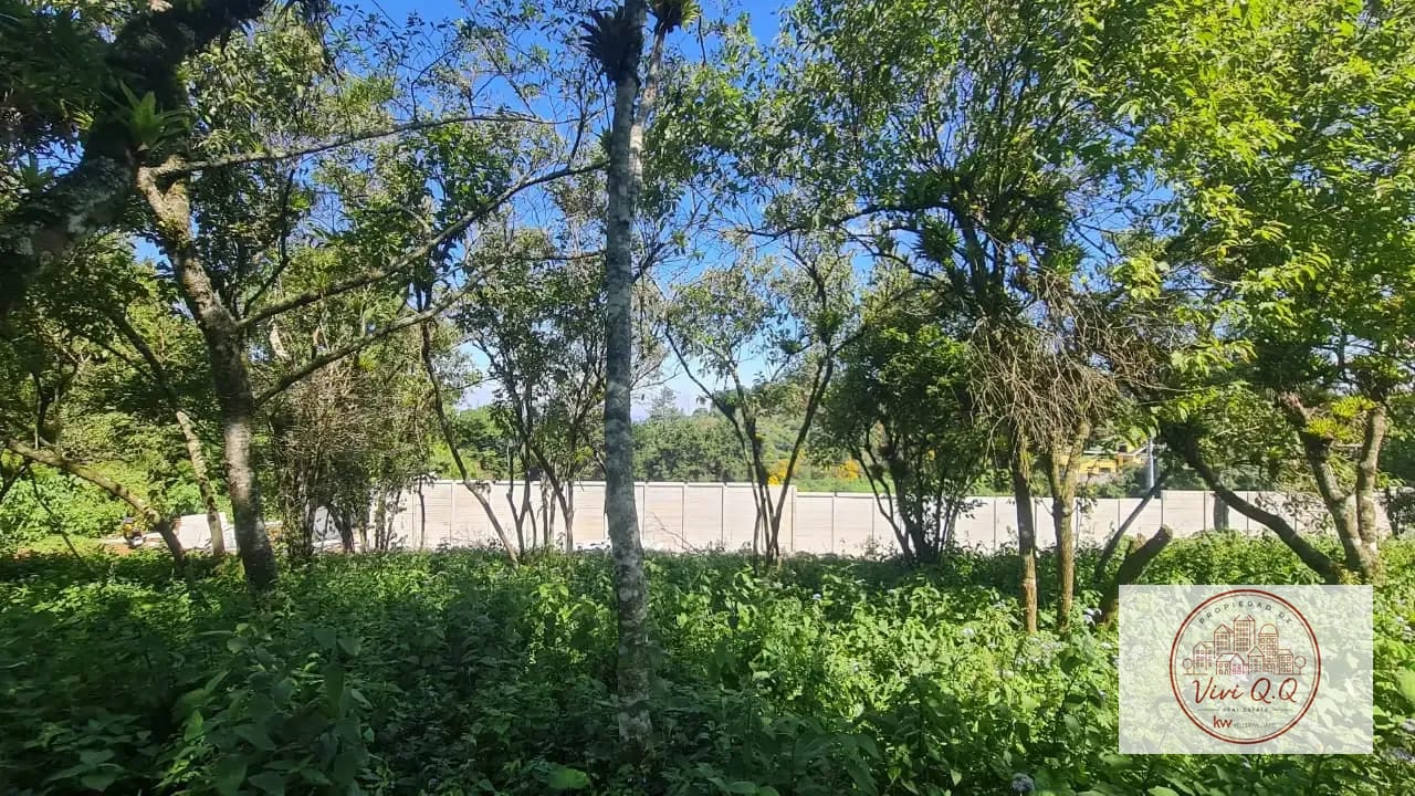 Terreno a la Venta Altos de San Vicente (interior Finca San Vicente) — Terreno en Venta en Santa Catarina Pinula, Guatemala, Ciudad — foto 1 de 5