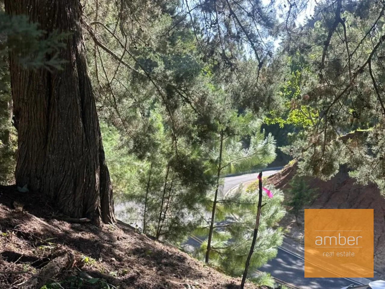 Terreno en el Pulté Ecuestre, zona 16 — Terreno en Venta en El Pulté Ecuestre, Zona 16, Guatemala, Ciudad — foto 2 de 3