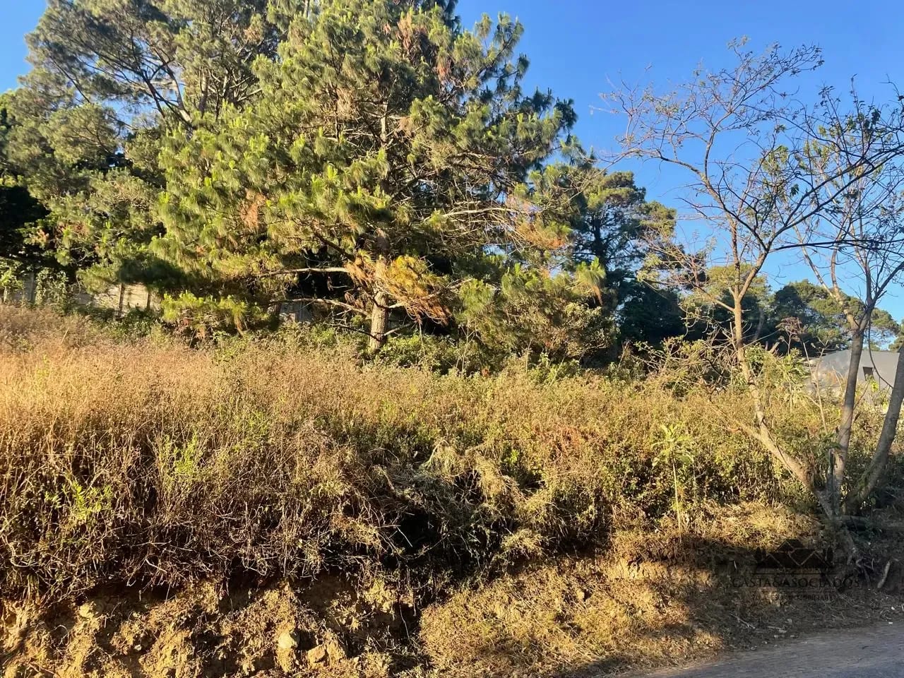TERRENO EN VENTA SAN MIGUEL BUENA VISTA — Terreno en Venta en Carretera a El Salvador, Guatemala, Ciudad — foto 5 de 5