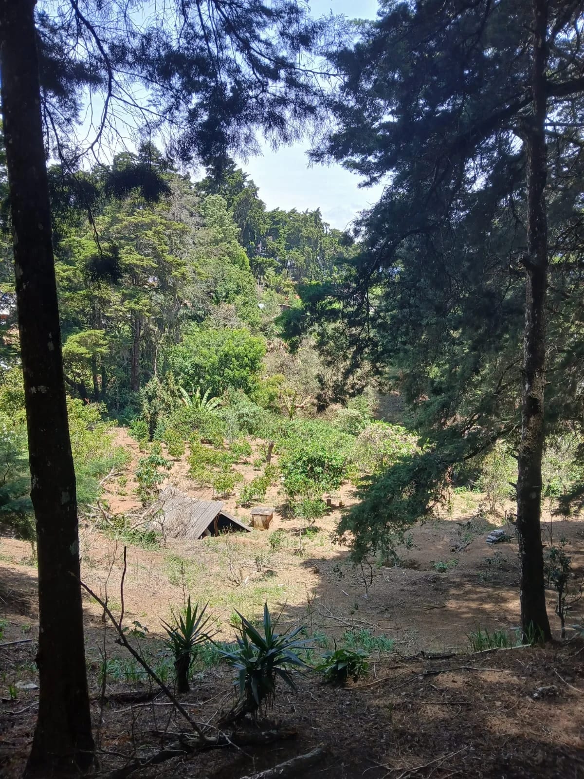 LINDA FINCA EN SAN JOSE PINULA — Finca en Venta en San José Pinula, Guatemala, Ciudad — foto 1 de 4