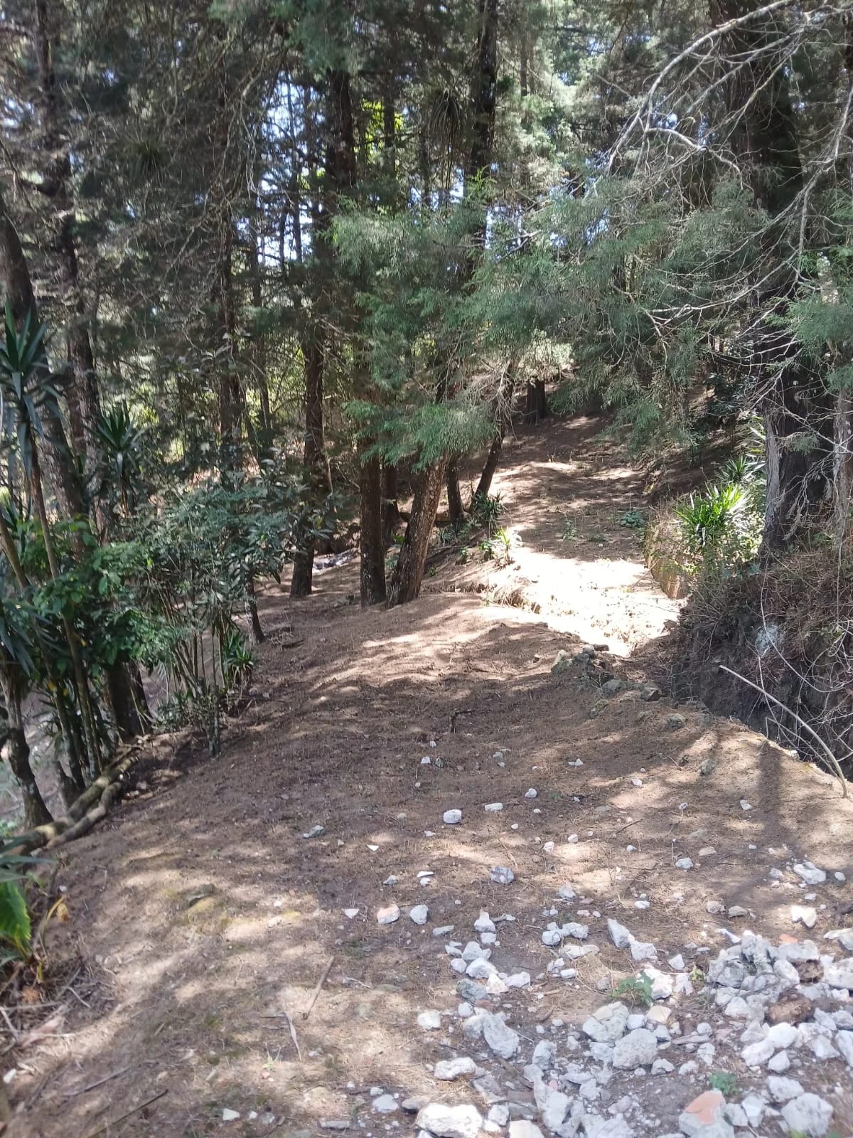 LINDA FINCA EN SAN JOSE PINULA — Finca en Venta en San José Pinula, Guatemala, Ciudad — foto 4 de 4