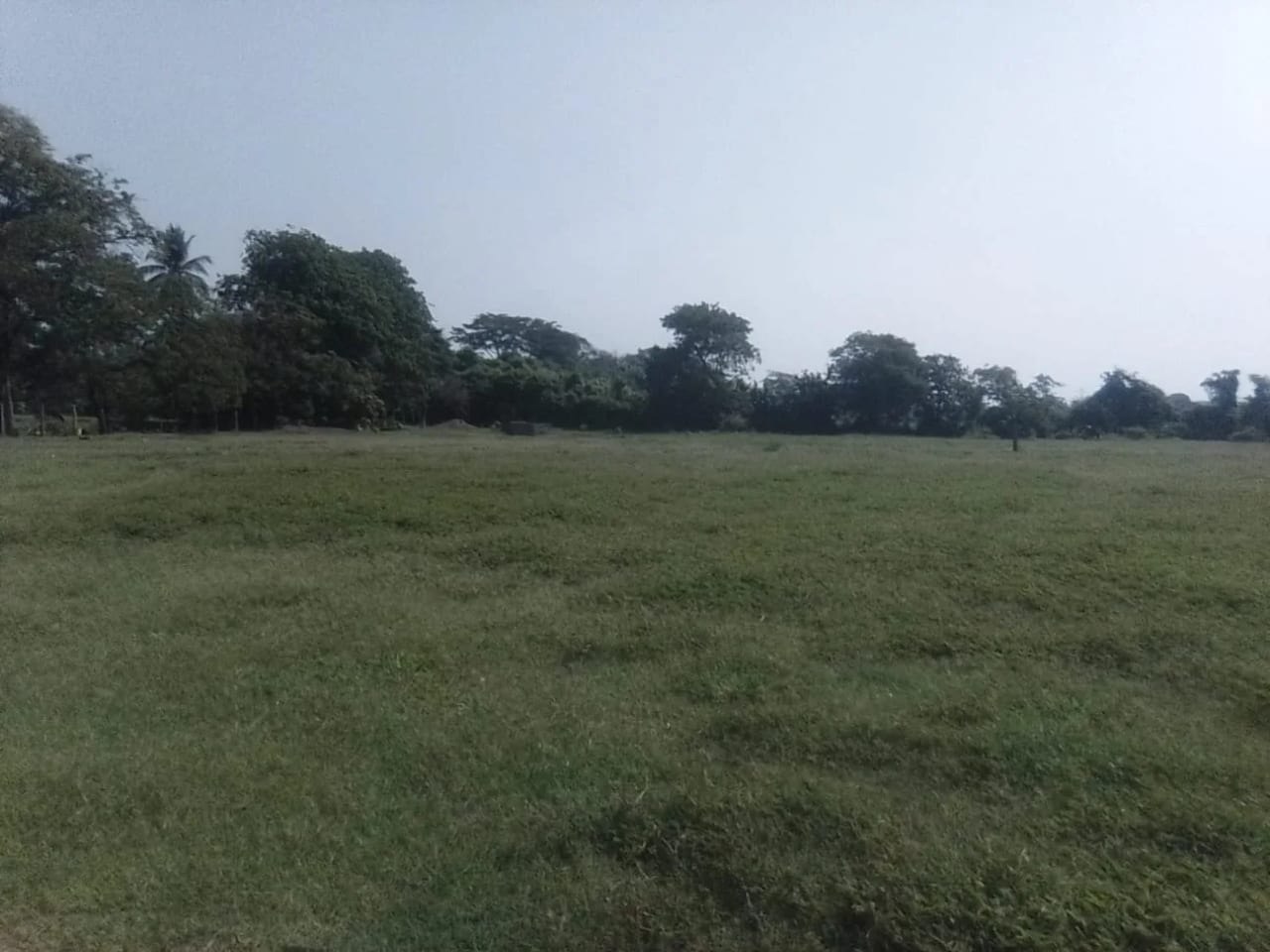 PROPIEDAD PLANA EN VENTA 15 MANZANAS MASAGUA — Terreno en Venta en Masagua, Escuintla — foto 2 de 5