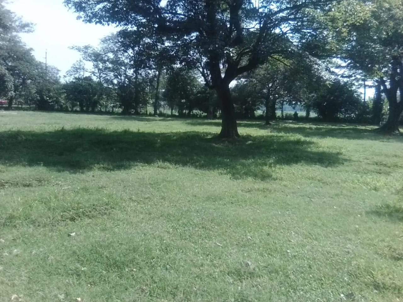 PROPIEDAD PLANA EN VENTA 15 MANZANAS MASAGUA — Terreno en Venta en Masagua, Escuintla — foto 5 de 5