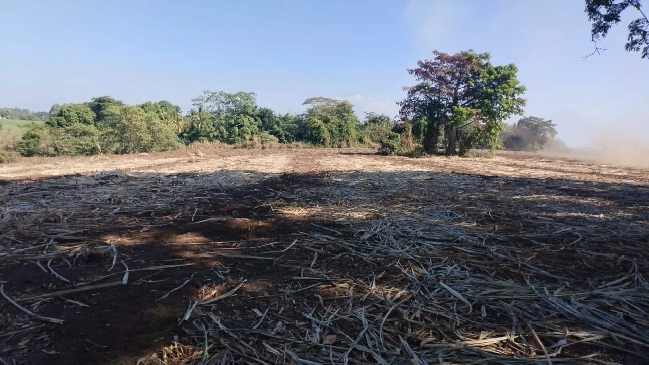 FINCA DE 16 MANZANAS PLANAS DEMOCRACIA ESCUINTLA — Finca en Venta en La Democracia, Escuintla — foto 1 de 4