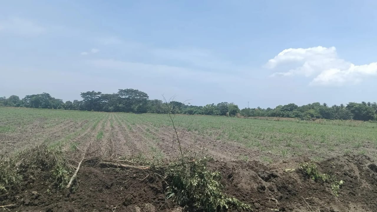 Finca en Venta Cuyuta, Escuintla — Finca en Venta en Escuintla, Escuintla — foto 1 de 3