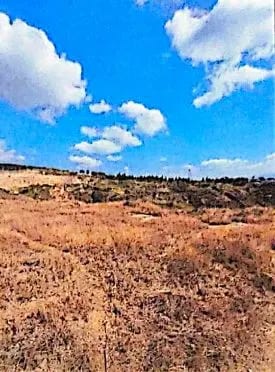 Terreno en venta, Bárcenas, Villa Nueva — Terreno en Venta en Villa Nueva, Guatemala, Ciudad — foto 5 de 5