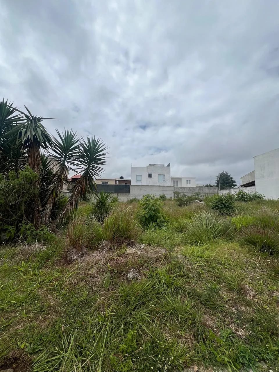 Terreno en venta, Hacienda Real, zona 16 — Terreno en Venta en Hacienda Real, Zona 16, Guatemala, Ciudad — foto 2 de 2