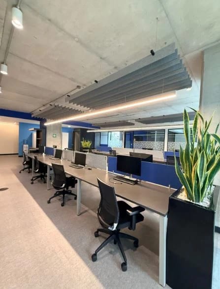 Oficina Amueblada en Alquiler Edificio Optima Centro de Negocios z. 10 — Oficina en Alquiler en Optima Centro de Negocios, Zona 10, Guatemala, Ciudad — foto 4 de 12
