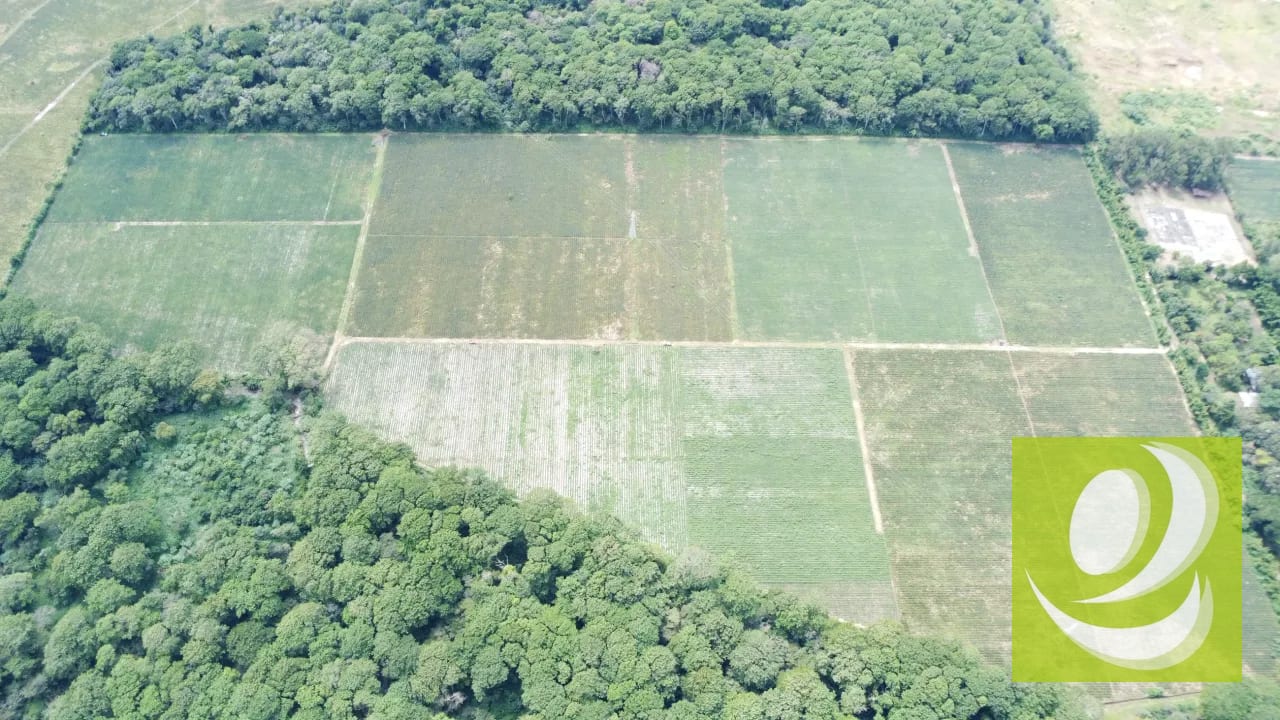 VENDO TERRENO LAS CASUARINAS - VILLA CANALES - JOCOTILLO US4,675,000 - PVF-016-10-24 — Terreno en Venta en Villa Canales, Guatemala, Ciudad — foto 5 de 6