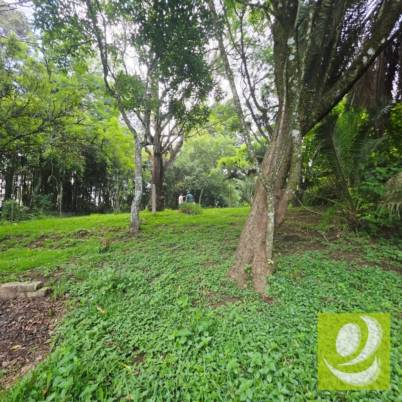 Venta Casa Invierte en una joya campestre con potencial comercial — Casa en Venta en Santa Elena Barillas, Guatemala, Ciudad — foto 3 de 7