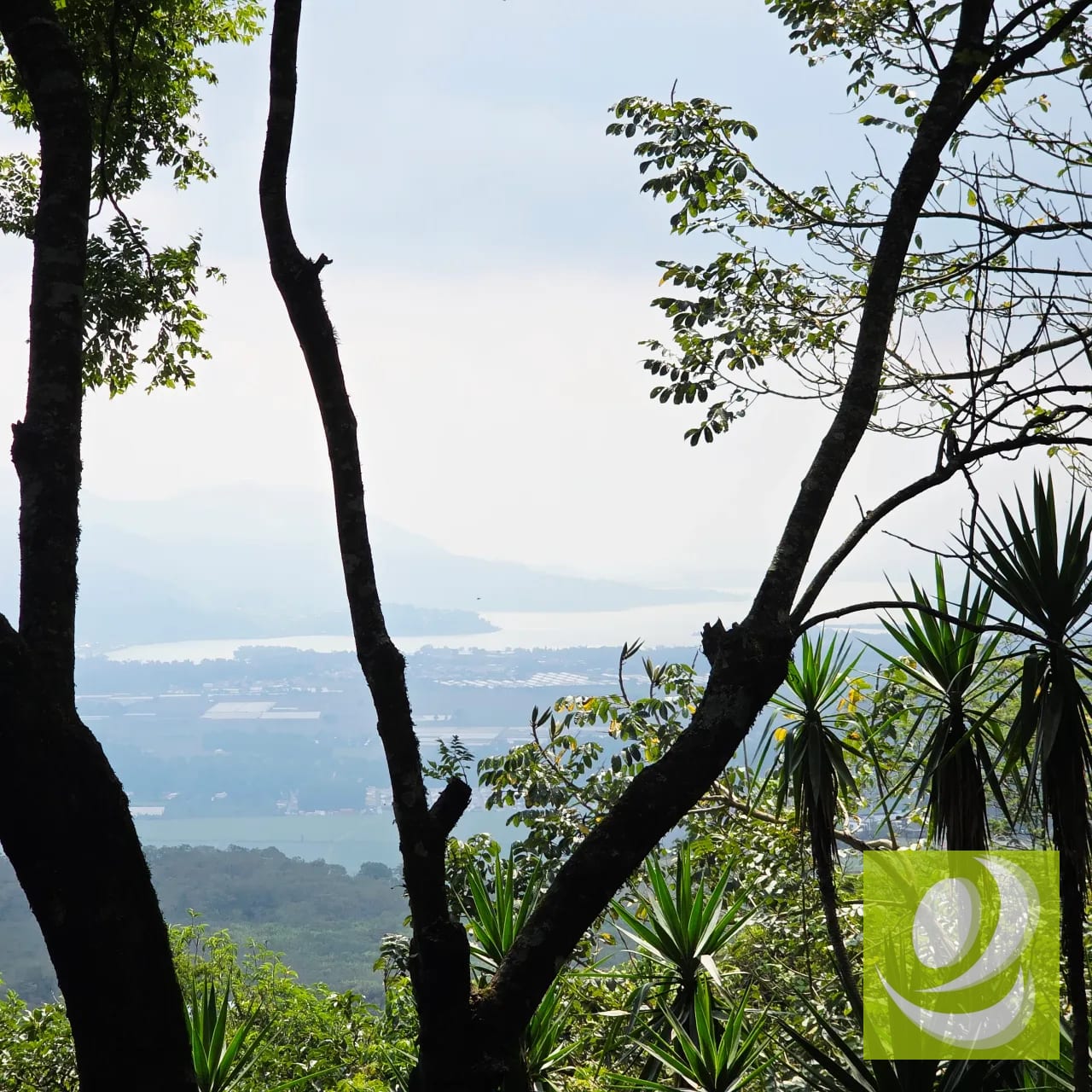 Venta Casa Invierte en una joya campestre con potencial comercial — Casa en Venta en Santa Elena Barillas, Guatemala, Ciudad — foto 1 de 7