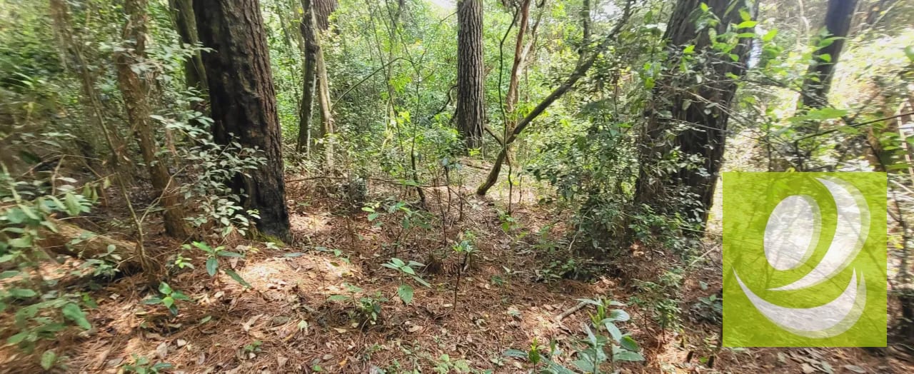 🌳🏡 ¡CONSTRUYE LA CASA QUE SIEMPRE SOÑASTE! 🏡🌳 — Terreno en Venta en Zona 9 Mixco, Guatemala, Ciudad — foto 4 de 5