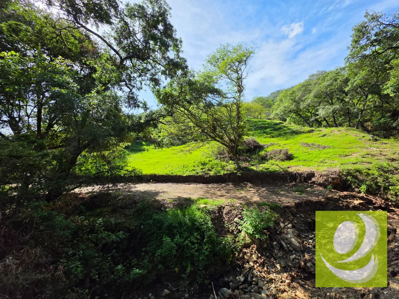 FINCA DE 43.7 MANZANAS EN VENTA | HUEHUETENANGO — Finca en Venta en Huehuetenango, Huehuetenango — foto 2 de 6