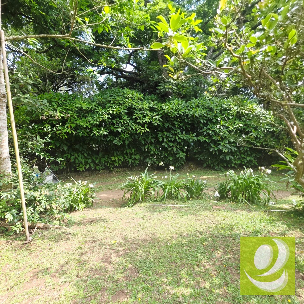 Vendo Terreno en Santa Elena Barillas — Casa en Venta en Bosques de San Nicolás, Santa Elena Barillas, Guatemala, Ciudad — foto 3 de 6