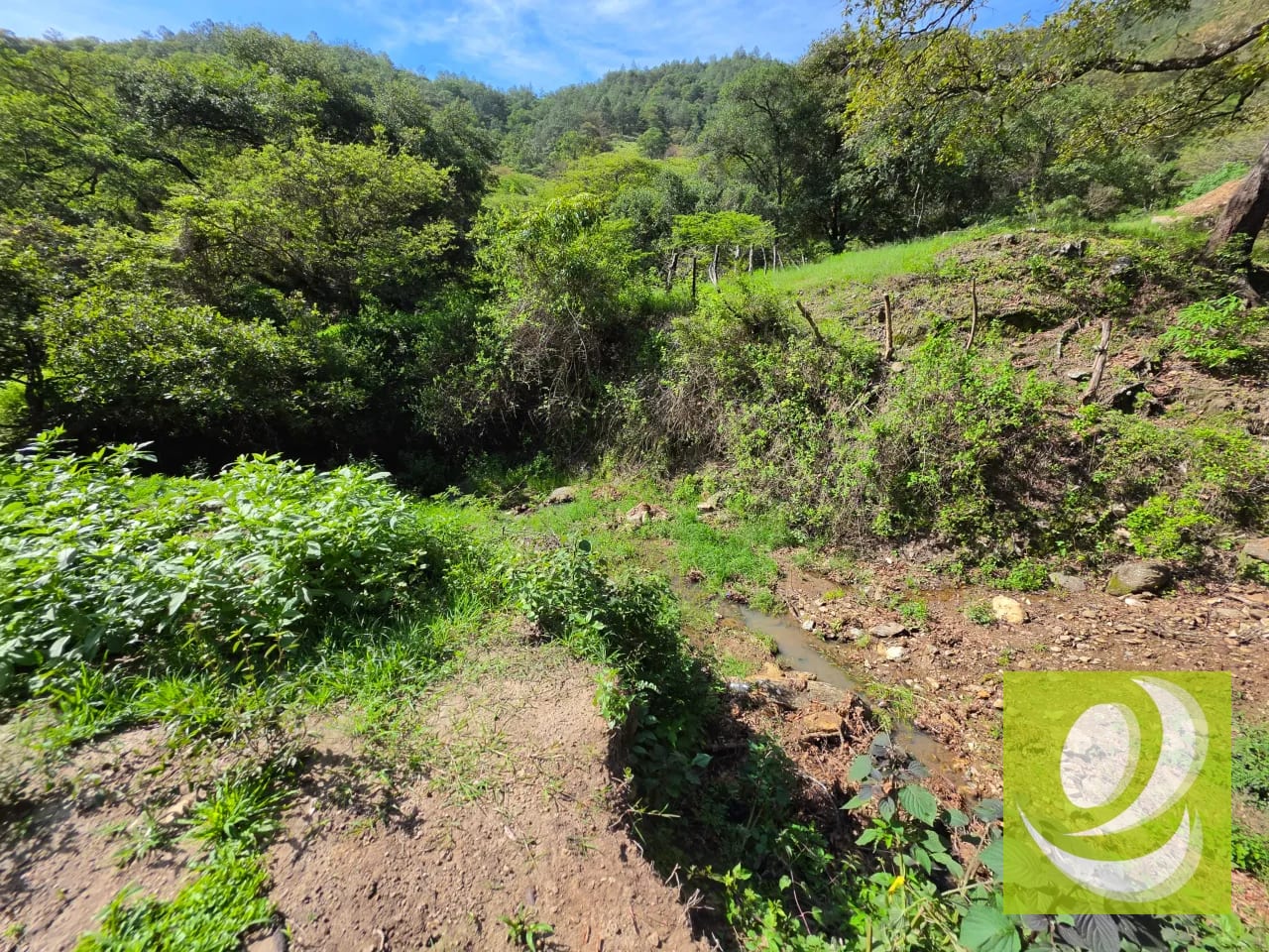 Finca de 43.7 Manzanas en Venta en Huehuetenango, por el Mamut — Finca en Venta en Huehuetenango, Huehuetenango — foto 2 de 10