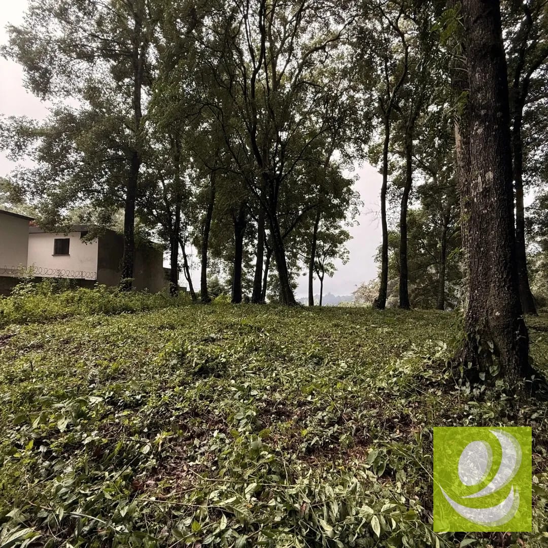 Lote en Venta en Bosque Vivo km 24.5 carretera Interamericana — Terreno en Venta en San Lucas Sacatepéquez, Sacatepéquez — foto 3 de 5