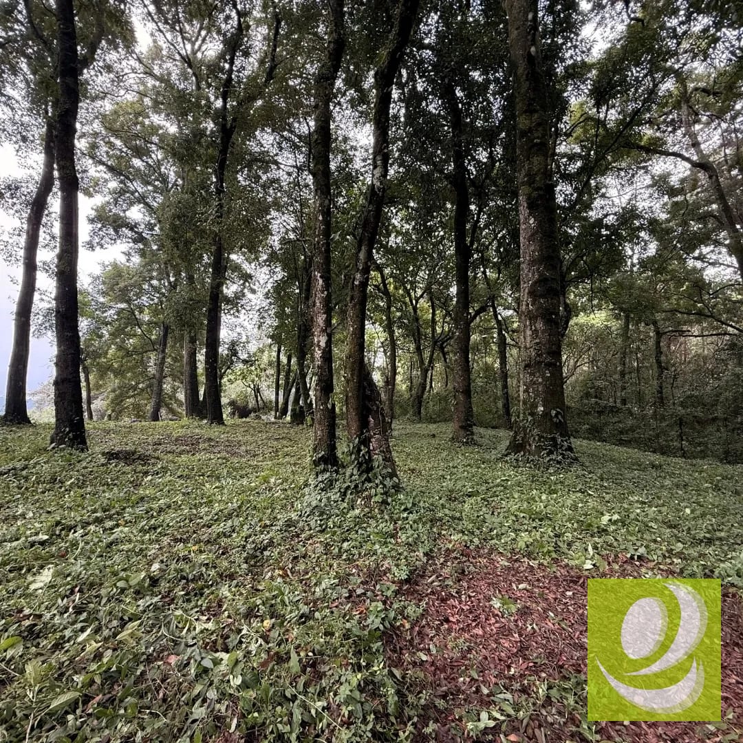 Terreno en Venta en Bosque Vivo Próximo a San Lucas — Terreno en Venta en San Lucas Sacatepéquez, Sacatepéquez — foto 2 de 5