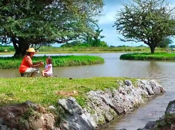 TERRENO RUTA A PUERTO QUETZAL EN QUINTAS LA PONDEROSA — Terreno en Venta en Carretera al Pacífico, Escuintla — foto 4 de 5