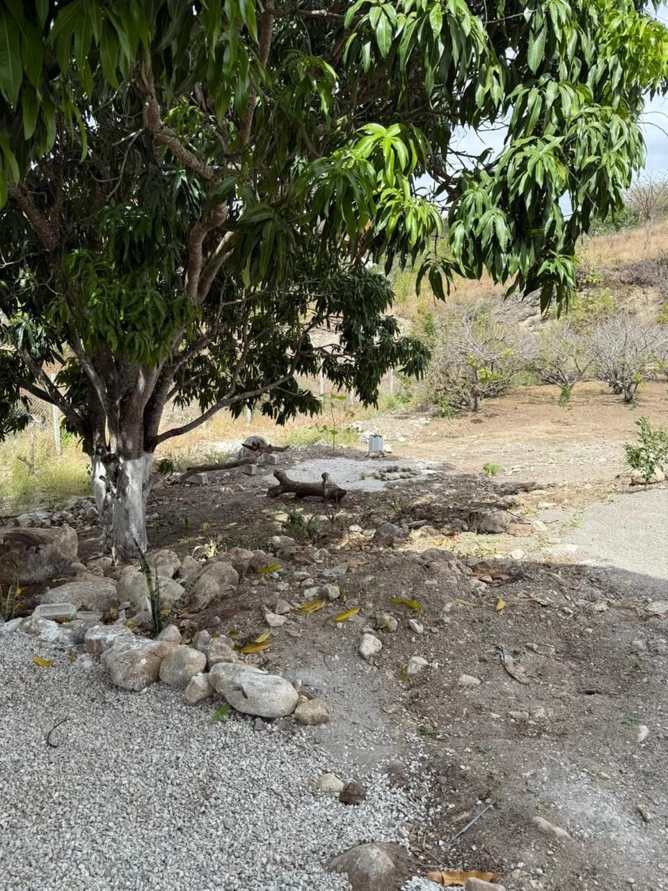 TERRENO EN VENTA EN ALDEA STA. RITA, EL PROGRESO GUASTATOYA — Terreno en Venta en Guastatoya, El Progreso — foto 3 de 11
