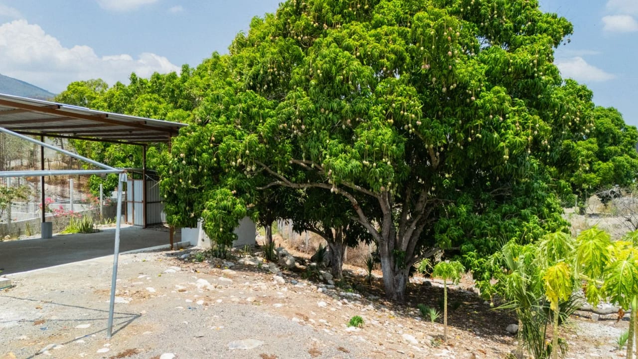 TERRENO EN VENTA EN ALDEA STA. RITA, EL PROGRESO GUASTATOYA — Terreno en Venta en Guastatoya, El Progreso — foto 7 de 11