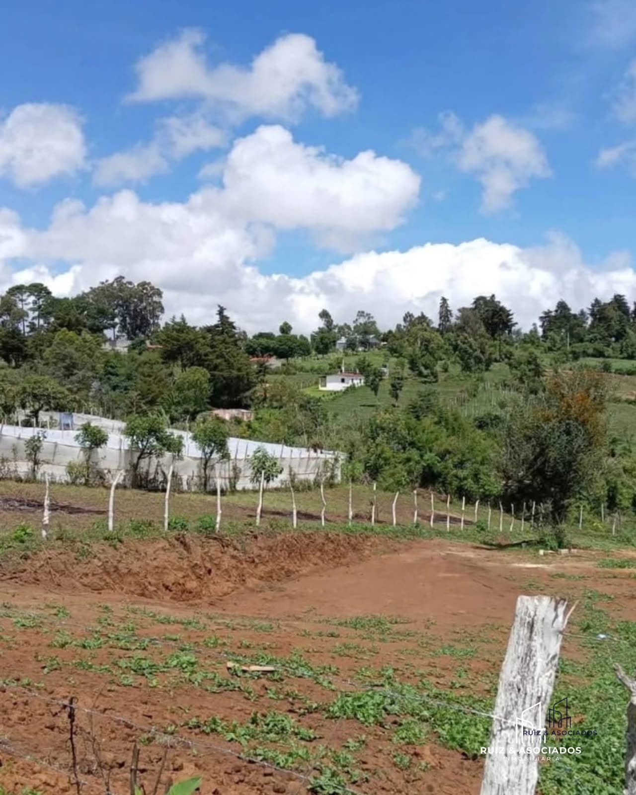š„š” Terreno en Remate | las Flores, Sumpango, SacatepĆ©quez ā Terreno en Venta en Sumpango, SacatepĆ©quez ā foto 2 de 4