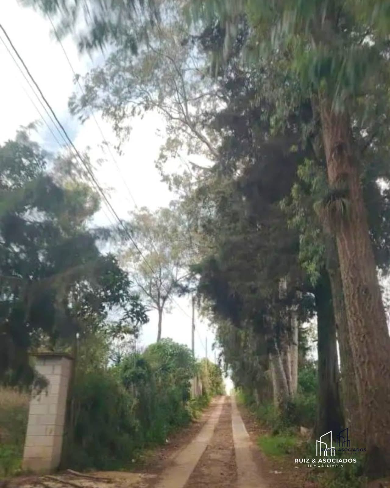 š„š” Terreno en Remate | las Flores, Sumpango, SacatepĆ©quez ā Terreno en Venta en Sumpango, SacatepĆ©quez ā foto 3 de 4