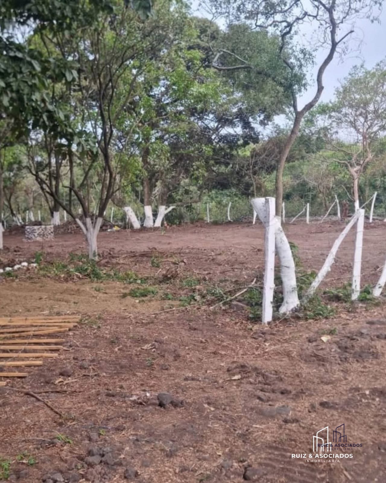 š” Terreno Rustico en Venta | Alotenango, SacatepĆ©quez ā Terreno en Venta en Alotenango, SacatepĆ©quez ā foto 3 de 4