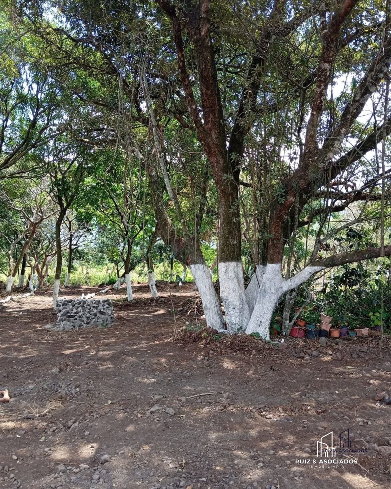 š” Terreno Rustico en Venta | Alotenango, SacatepĆ©quez ā Terreno en Venta en Alotenango, SacatepĆ©quez ā foto 4 de 4