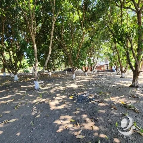 Casa Vacacional en Venta Monterrico — Casa en Venta en Monterrico, Santa Rosa — foto 7 de 15