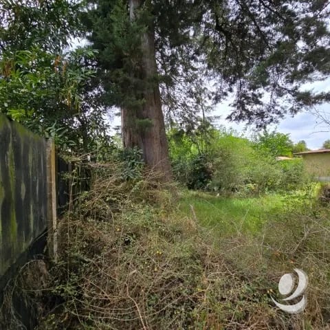 Terreno en Venta San Lucas Sacatepéquez 1,500 mts2 — Terreno en Venta en San Lucas Sacatepéquez, Sacatepéquez — foto 11 de 11