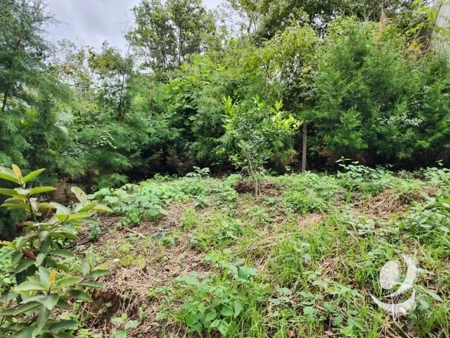 Terreno en Venta Sajcavillá San Juan Sacatepéquez — Terreno en Venta en San Juan Sacatepéquez, Sacatepéquez — foto 10 de 15