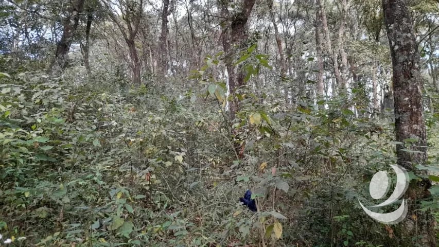 Terreno en Venta San Lucas Sacatepéquez, Guatemala — Terreno en Venta en San Lucas Sacatepéquez, Sacatepéquez — foto 10 de 16