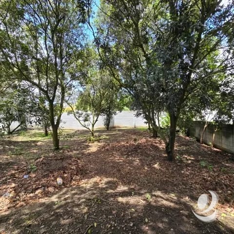 Terreno en Venta Hacienda Del Comendador, Sacatepéquez — Terreno en Venta en San Miguel Dueñas, Sacatepéquez — foto 5 de 16