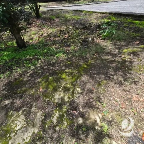 Terreno en Venta Hacienda Del Comendador, Sacatepéquez — Terreno en Venta en San Miguel Dueñas, Sacatepéquez — foto 8 de 16