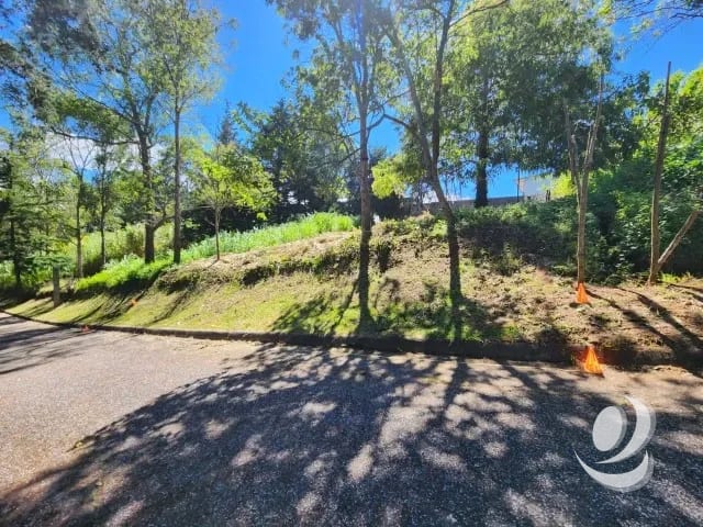 Terreno en Venta Fraijanes dentro de garita, Km 21 — Terreno en Venta en Carretera a El Salvador, Guatemala, Ciudad — foto 5 de 11