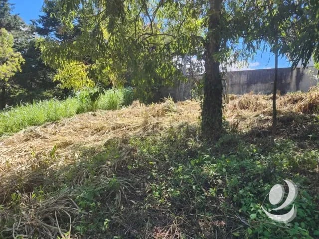 Terreno en Venta Fraijanes dentro de garita, Km 21 — Terreno en Venta en Carretera a El Salvador, Guatemala, Ciudad — foto 6 de 11