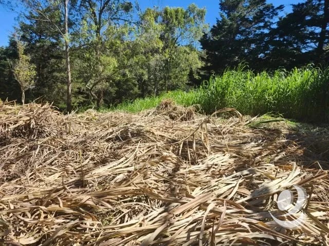 Terreno en Venta Fraijanes dentro de garita, Km 21 — Terreno en Venta en Carretera a El Salvador, Guatemala, Ciudad — foto 7 de 11