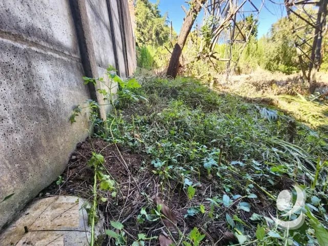 Terreno en Venta Fraijanes dentro de garita, Km 21 — Terreno en Venta en Carretera a El Salvador, Guatemala, Ciudad — foto 8 de 11