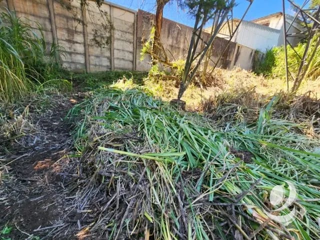 Terreno en Venta Fraijanes dentro de garita, Km 21 — Terreno en Venta en Carretera a El Salvador, Guatemala, Ciudad — foto 9 de 11