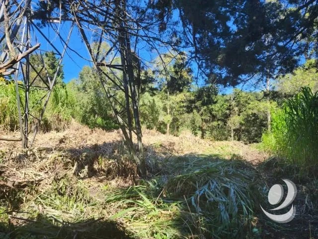 Terreno en Venta Fraijanes dentro de garita, Km 21 — Terreno en Venta en Carretera a El Salvador, Guatemala, Ciudad — foto 10 de 11