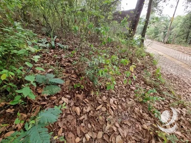 Terreno en Venta KM 32 San Lucas Sacatepéquez. Garita — Terreno en Venta en San Lucas Sacatepéquez, Sacatepéquez — foto 5 de 15