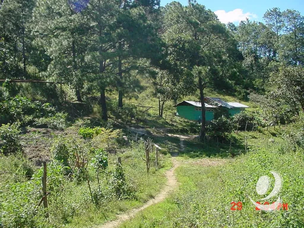 Vendo Finca Rustica en San Pedro Ayampuc — Finca en Venta en San Pedro Ayampuc, Guatemala, Ciudad — foto 3 de 10