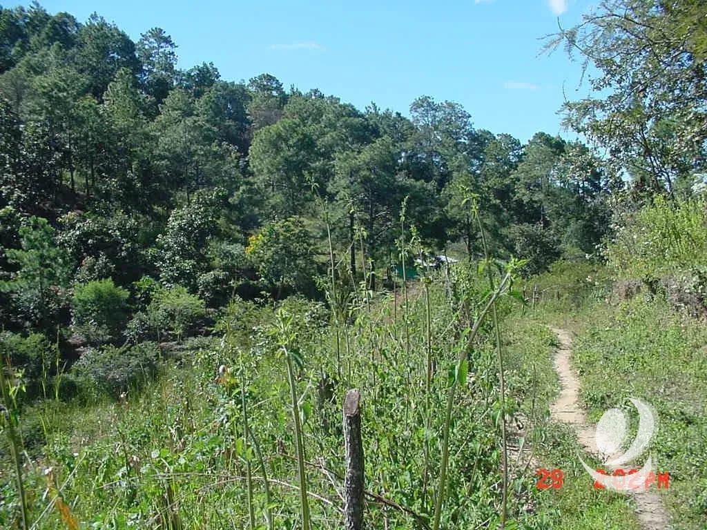 Vendo Finca Rustica en San Pedro Ayampuc — Finca en Venta en San Pedro Ayampuc, Guatemala, Ciudad — foto 6 de 10