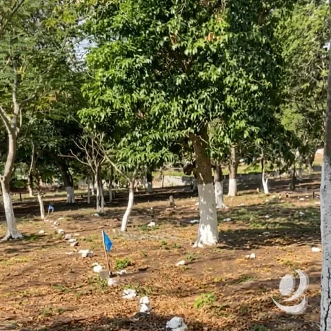 Terreno Residencial en Venta Cuilapa Santa Rosa — Terreno en Venta en Cuilapa, Santa Rosa — foto 2 de 4