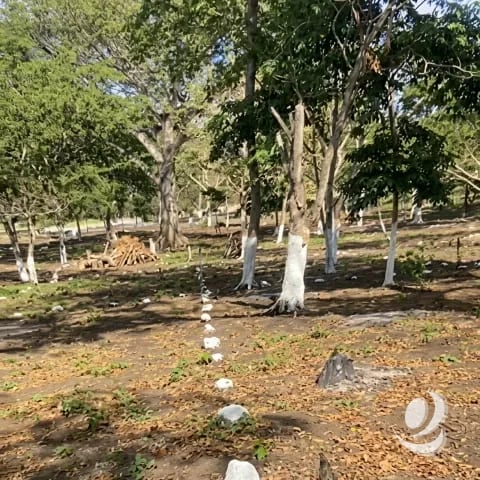 Terreno Residencial en Venta Cuilapa Santa Rosa — Terreno en Venta en Cuilapa, Santa Rosa — foto 4 de 4