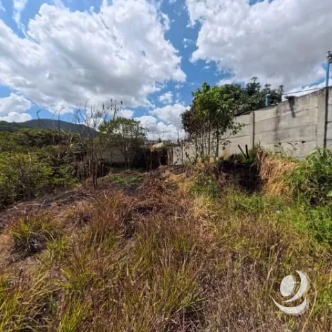 Terreno en Venta San Cristóbal en Colonia sobre Bulevar — Terreno en Venta en Loma Real, Zona 8 Mixco, Guatemala, Ciudad — foto 4 de 10