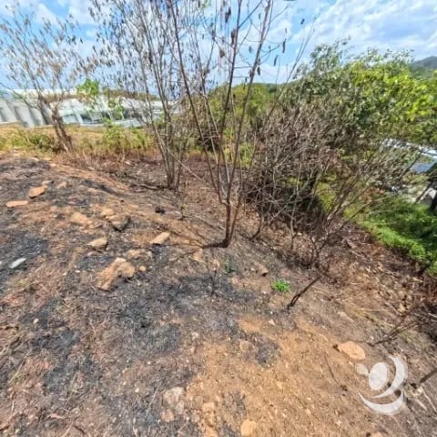 Terreno en Venta San Cristóbal en Colonia sobre Bulevar — Terreno en Venta en Loma Real, Zona 8 Mixco, Guatemala, Ciudad — foto 5 de 10
