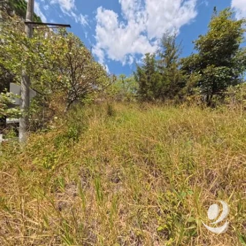 Terreno en Venta San Cristóbal en Colonia sobre Bulevar — Terreno en Venta en Loma Real, Zona 8 Mixco, Guatemala, Ciudad — foto 7 de 10