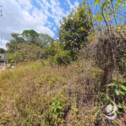 Terreno en Venta San Cristóbal en Colonia sobre Bulevar — Terreno en Venta en Loma Real, Zona 8 Mixco, Guatemala, Ciudad — foto 8 de 10