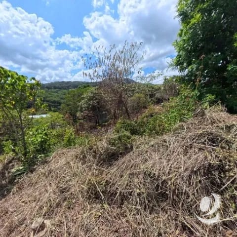 Terreno en Venta San Cristóbal en Colonia sobre Bulevar — Terreno en Venta en Loma Real, Zona 8 Mixco, Guatemala, Ciudad — foto 9 de 10